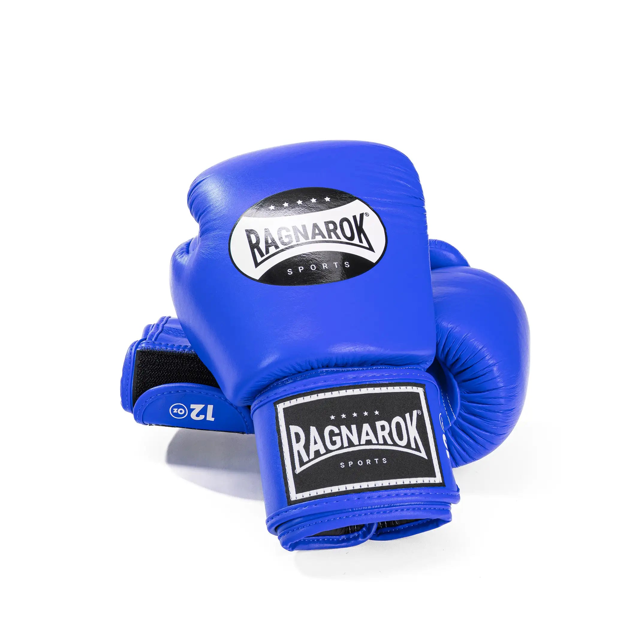 Twins Special X Ragnarok Sports Boxhandschuhe Blau