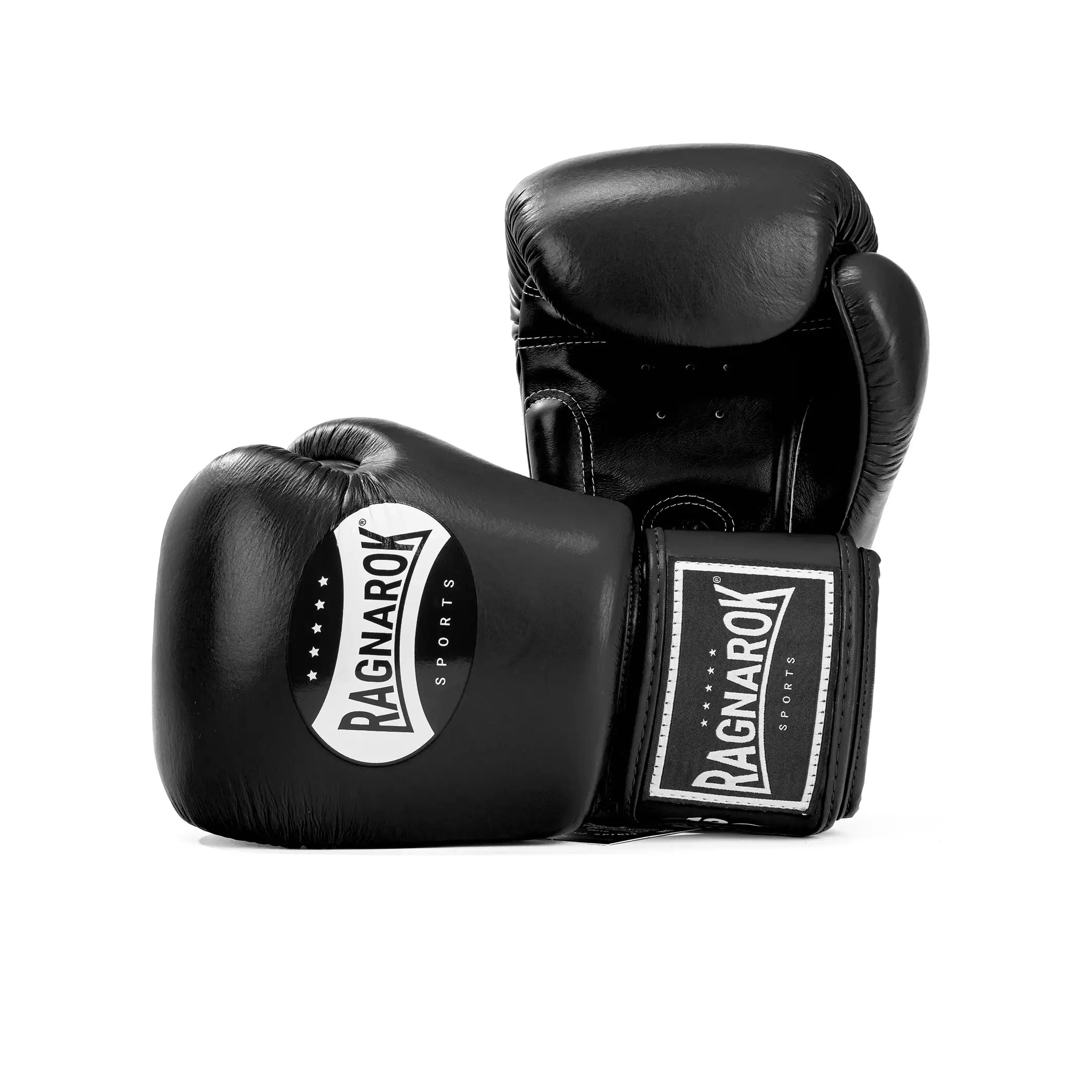 Twins Special X Ragnarok Sports Boxing Gloves Black