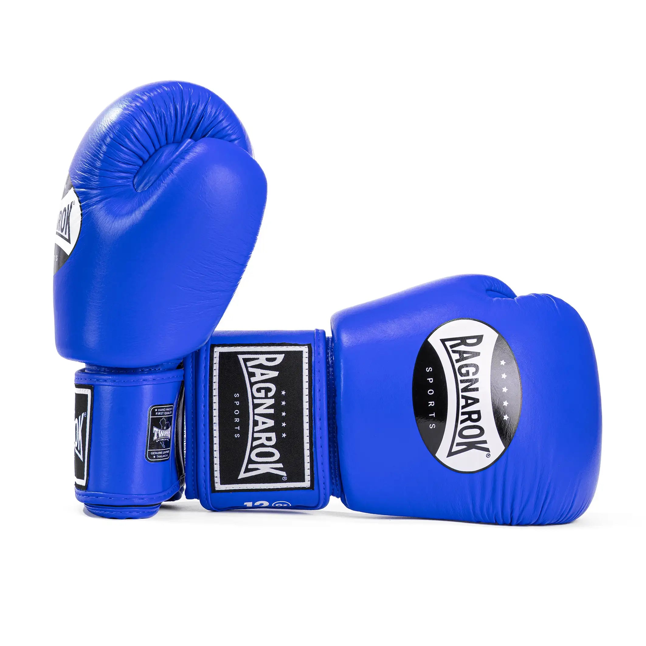 Twins Special X Ragnarok Sports Boxhandschuhe Blau