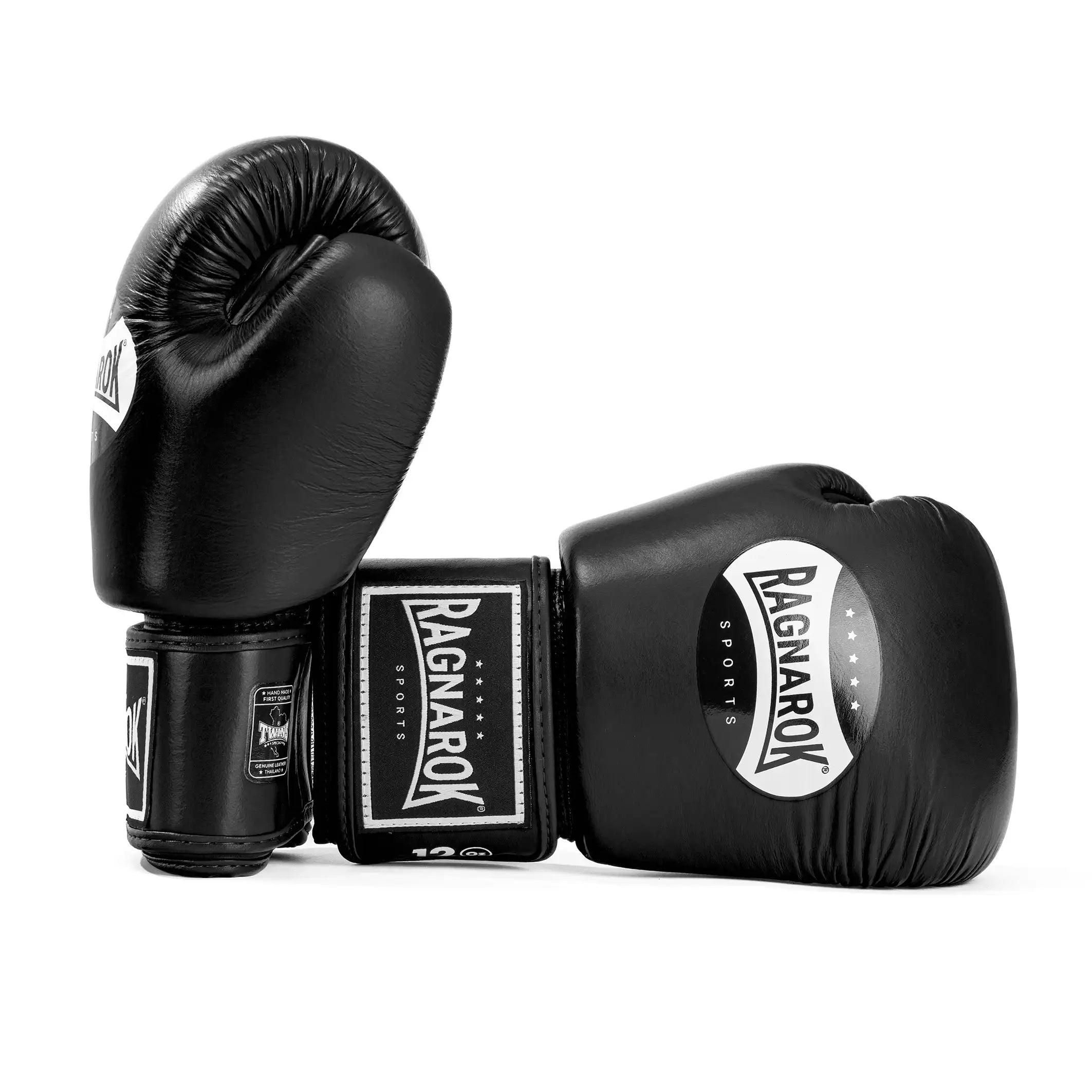 Twins Special X Ragnarok Sports Boxing Gloves Black