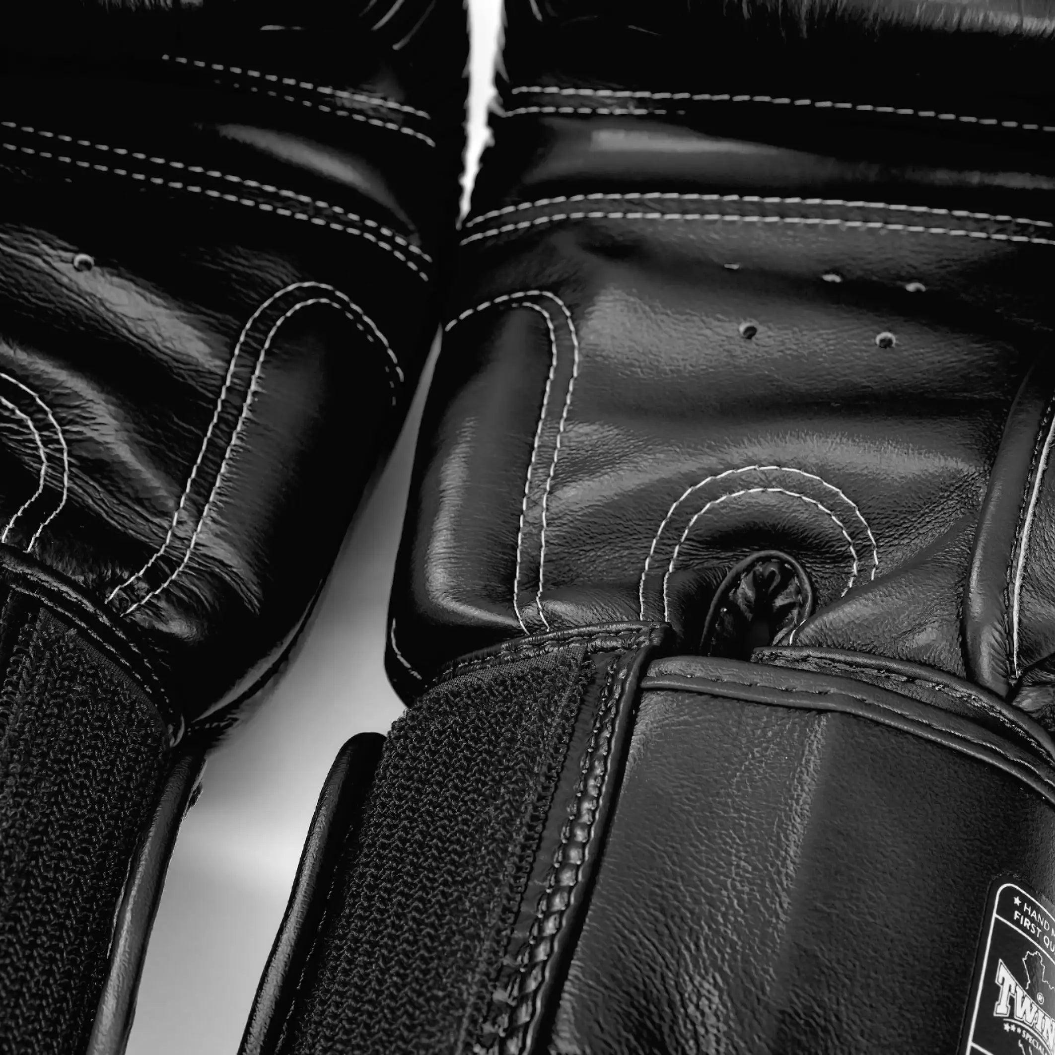 Twins Special X Ragnarok Sports Boxing Gloves Black