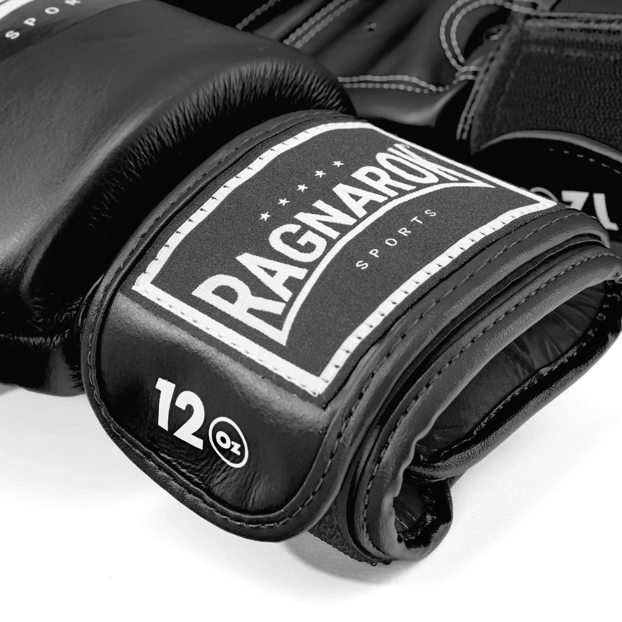 Twins Special X Ragnarok Sports Boxing Gloves Black