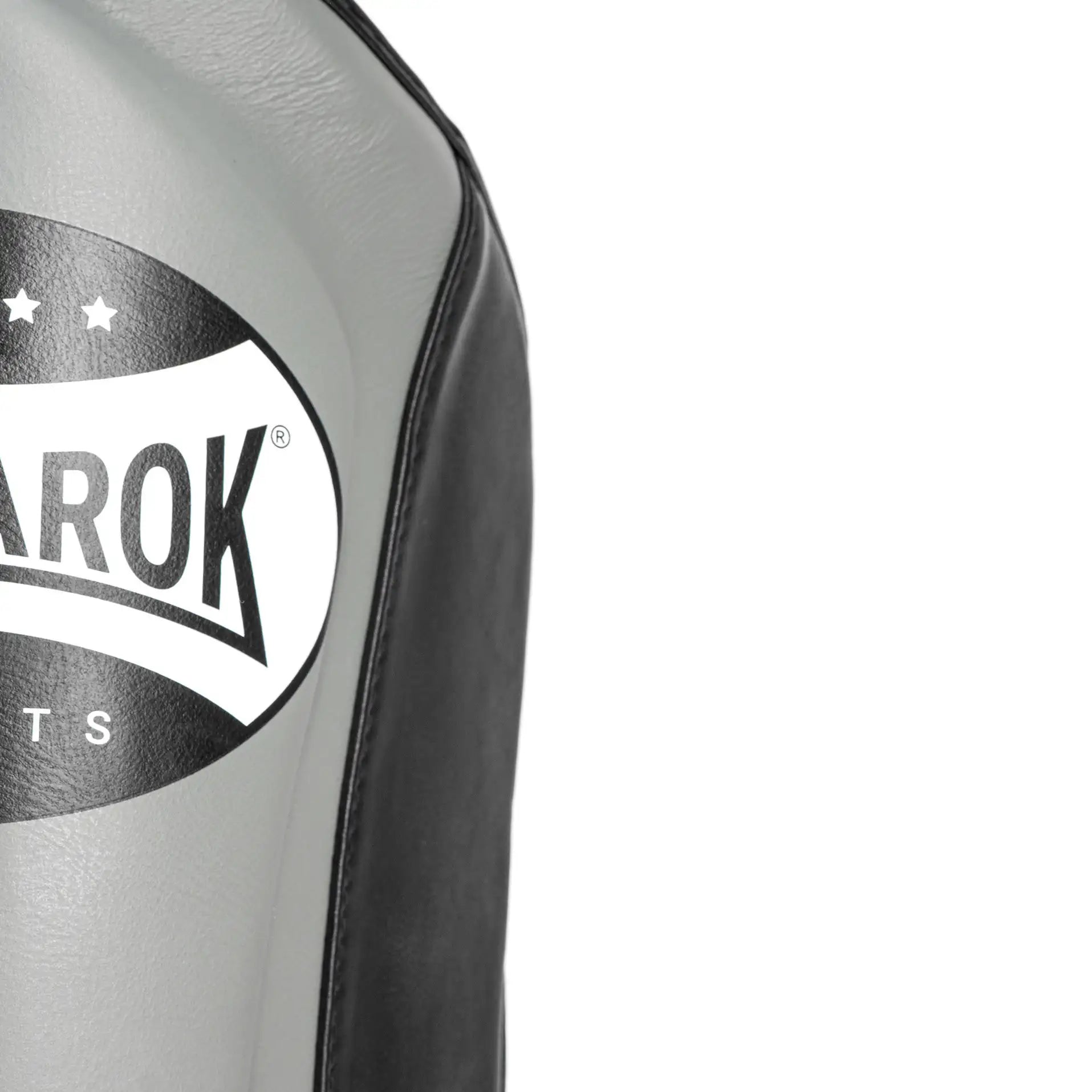 Schienbeinschutz Muay Thai Grau Logo