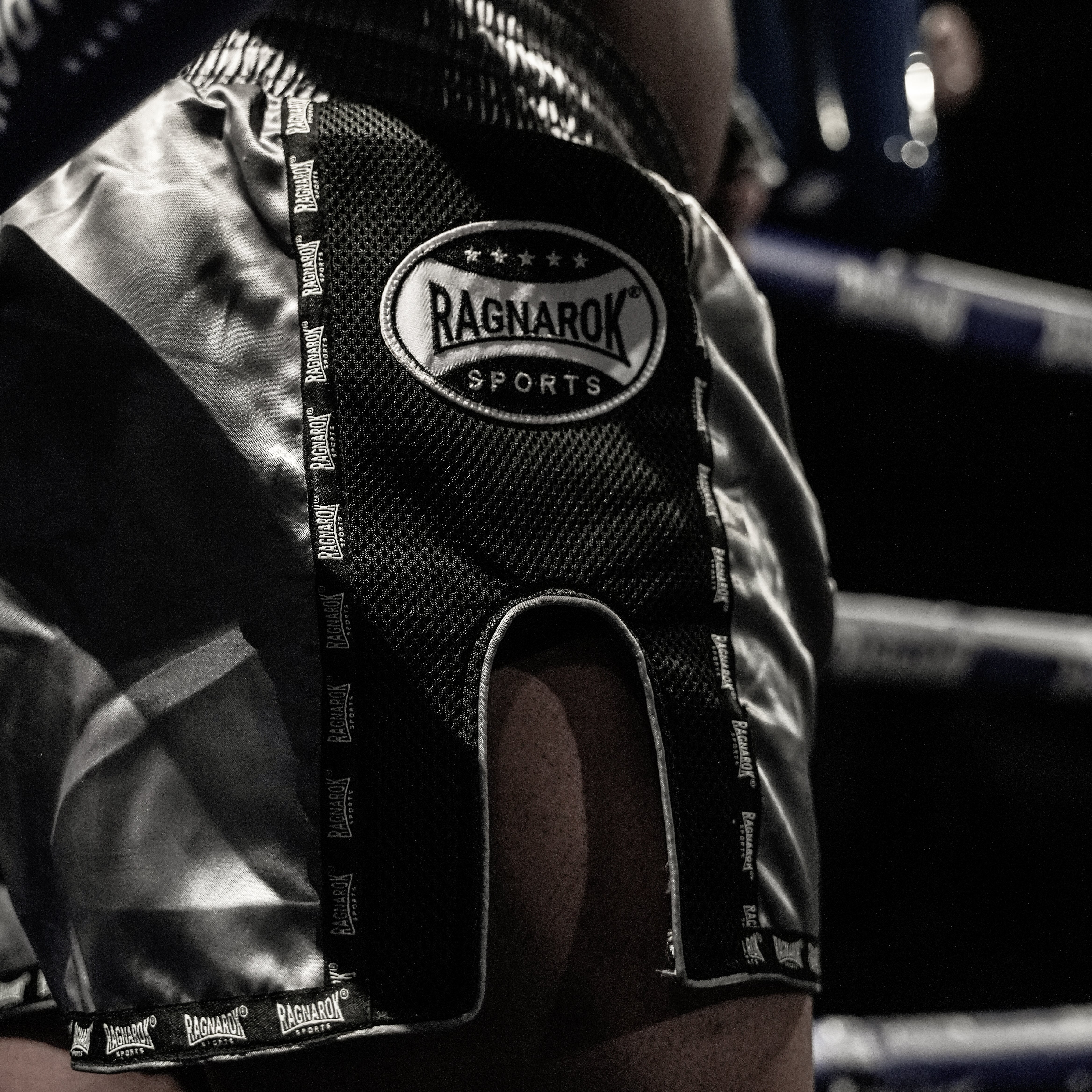 Muay Thai Shorts Grau