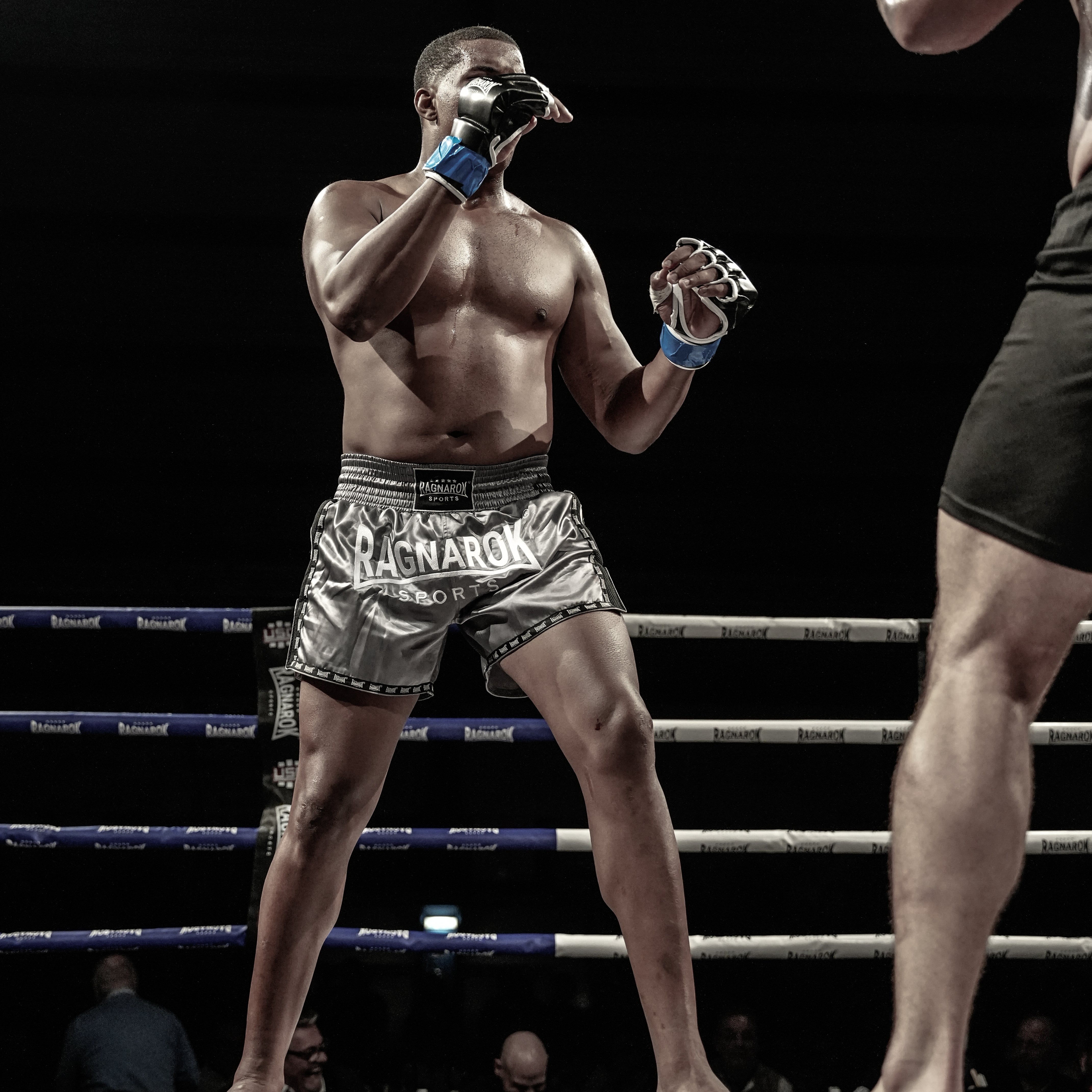 Muay Thai Shorts Grau