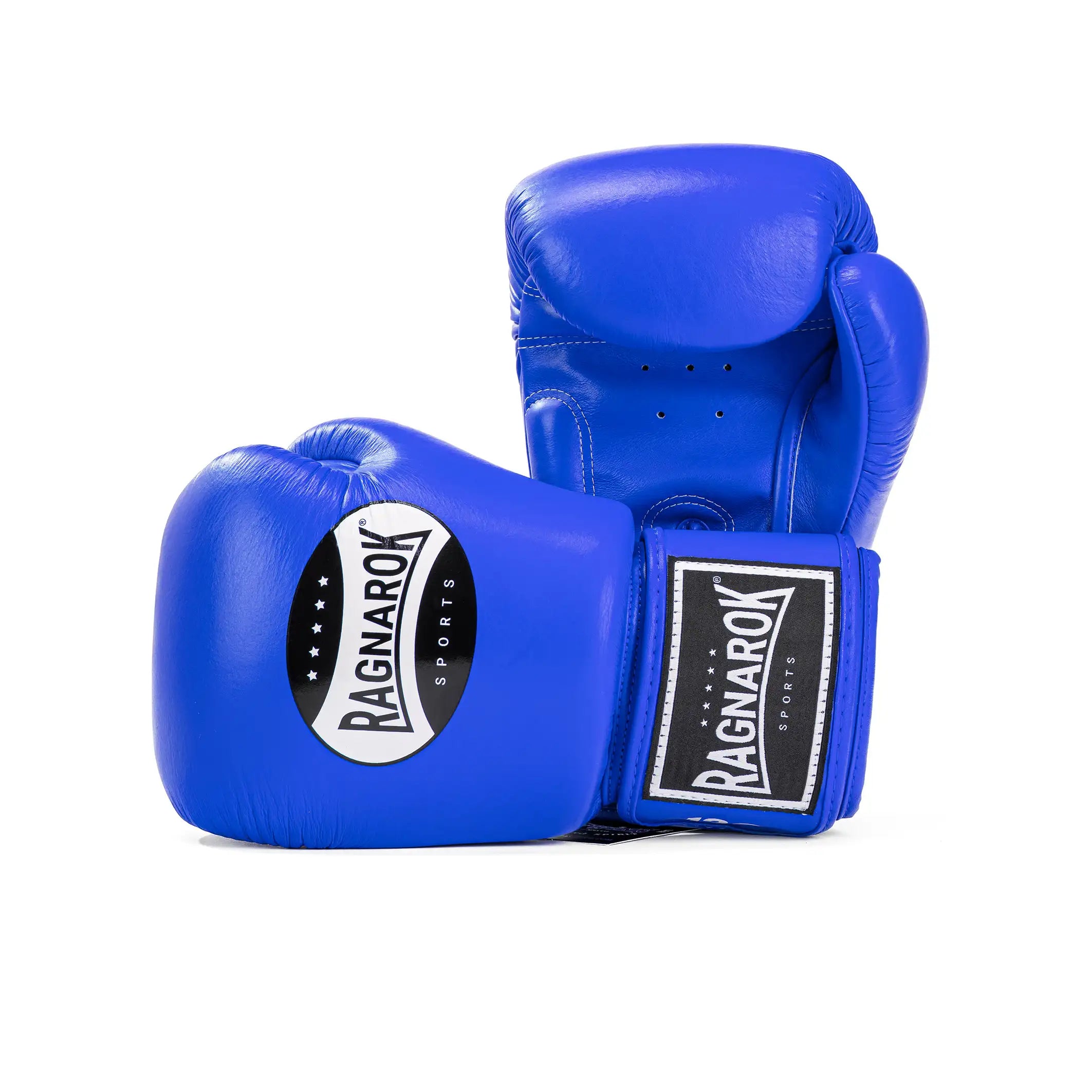 Boxing Gloves Ragnarok Sports Blue